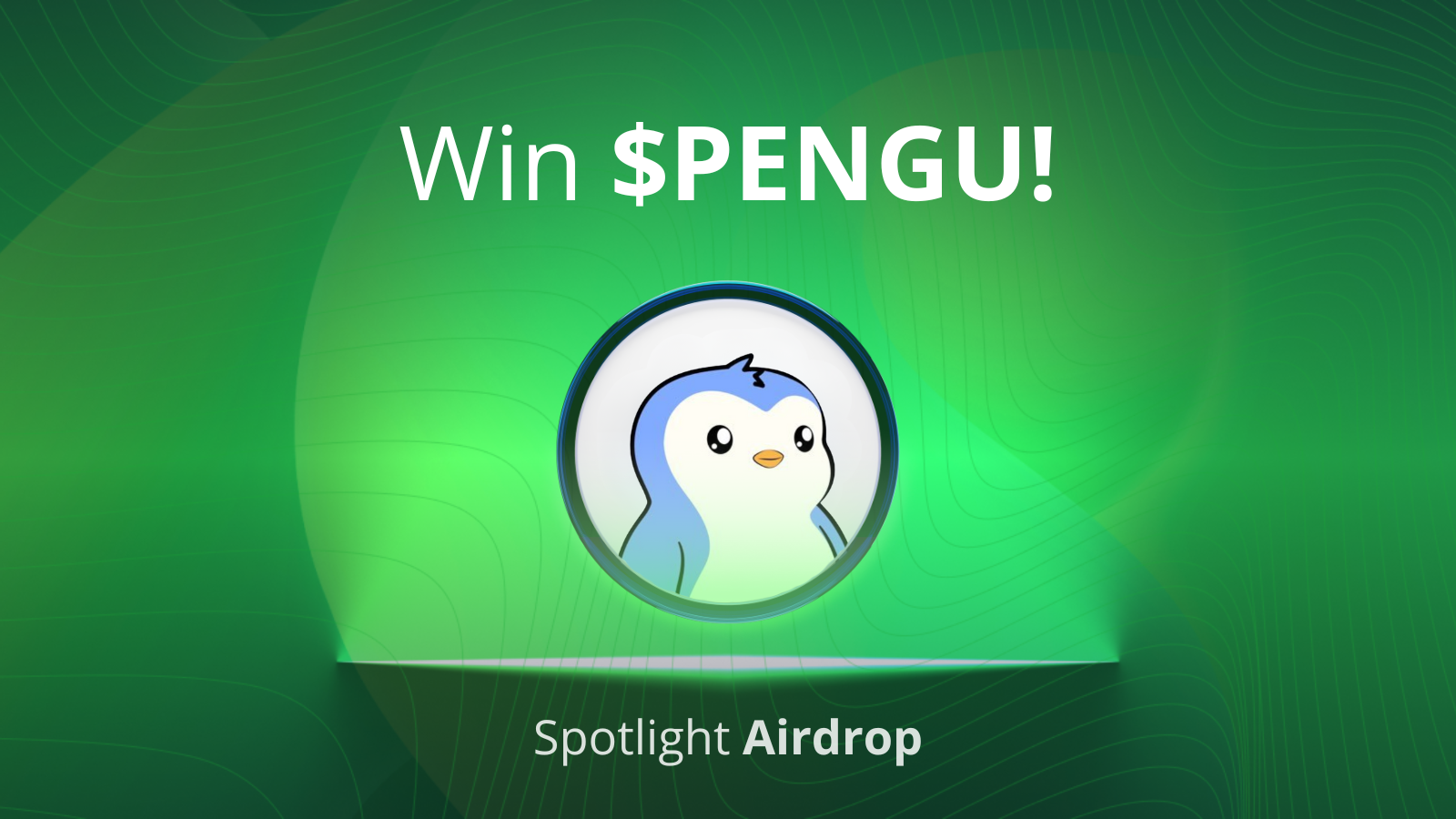 Win Pudgy Penguins on Tradesilvania Spotlight!