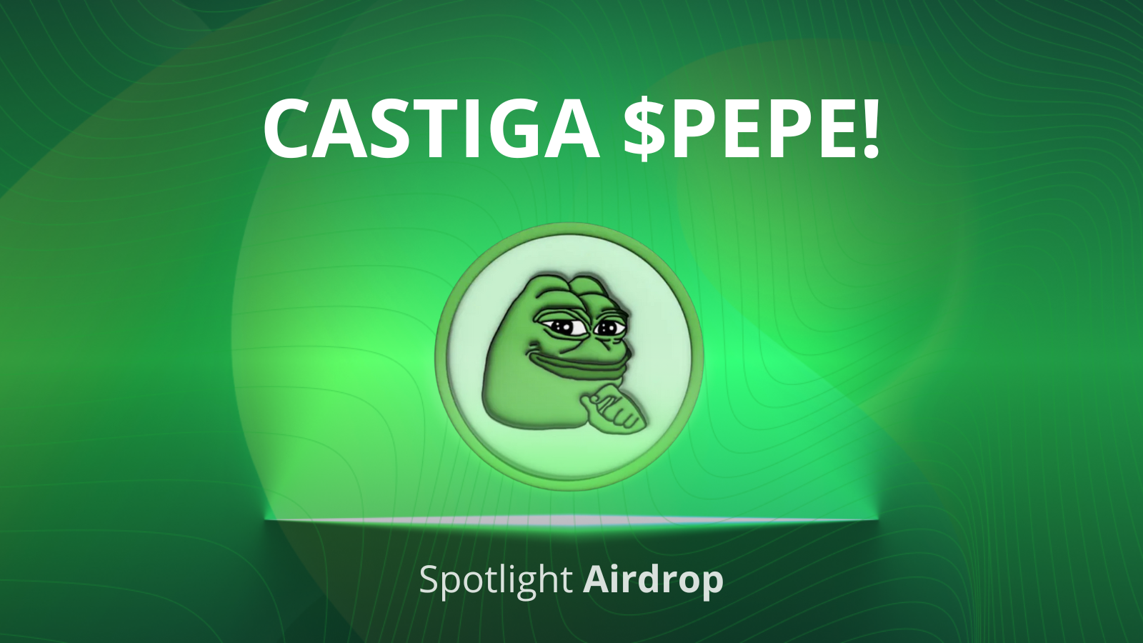 Castiga PEPE pe Tradesilvania Spotlight