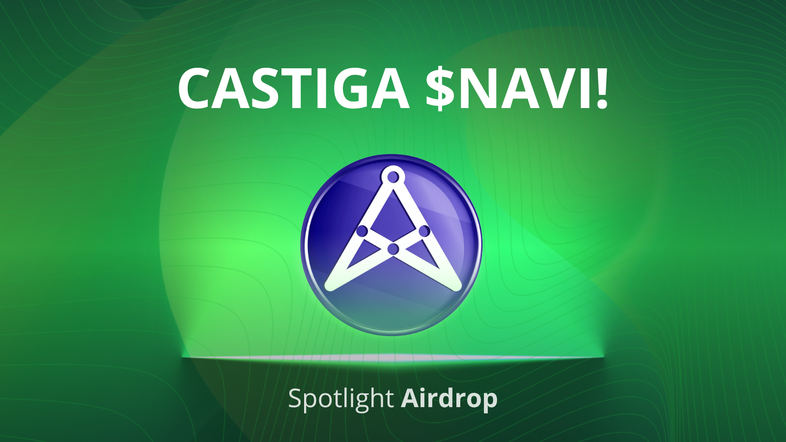 Castiga NAVI pe Tradesilvania Spotlight