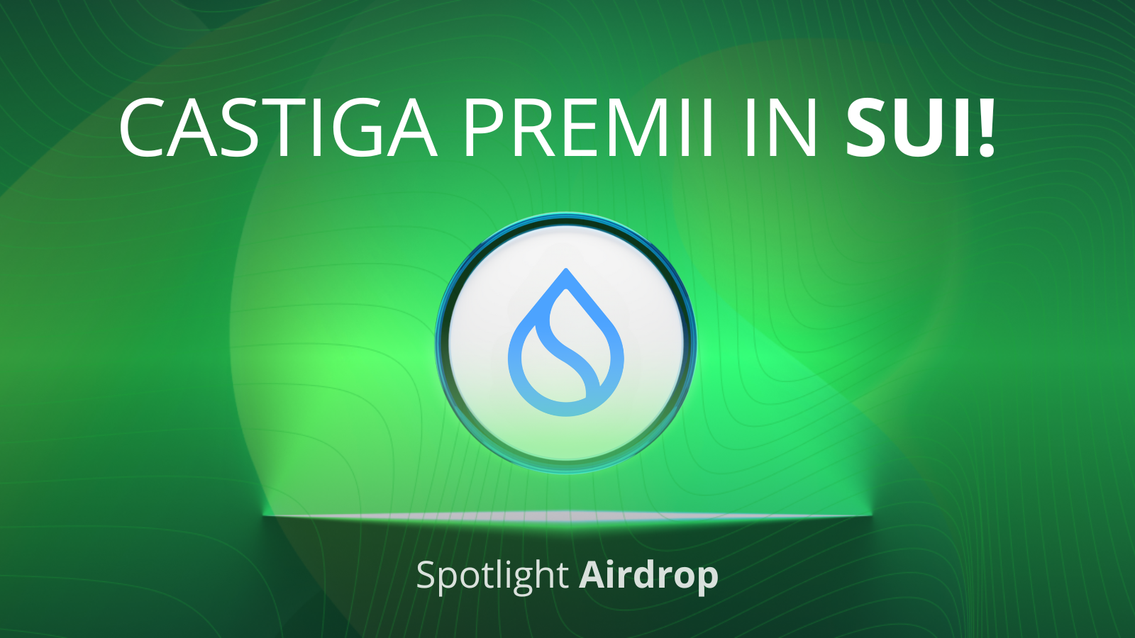 Castiga SUI prin Tradesilvania Spotlight!