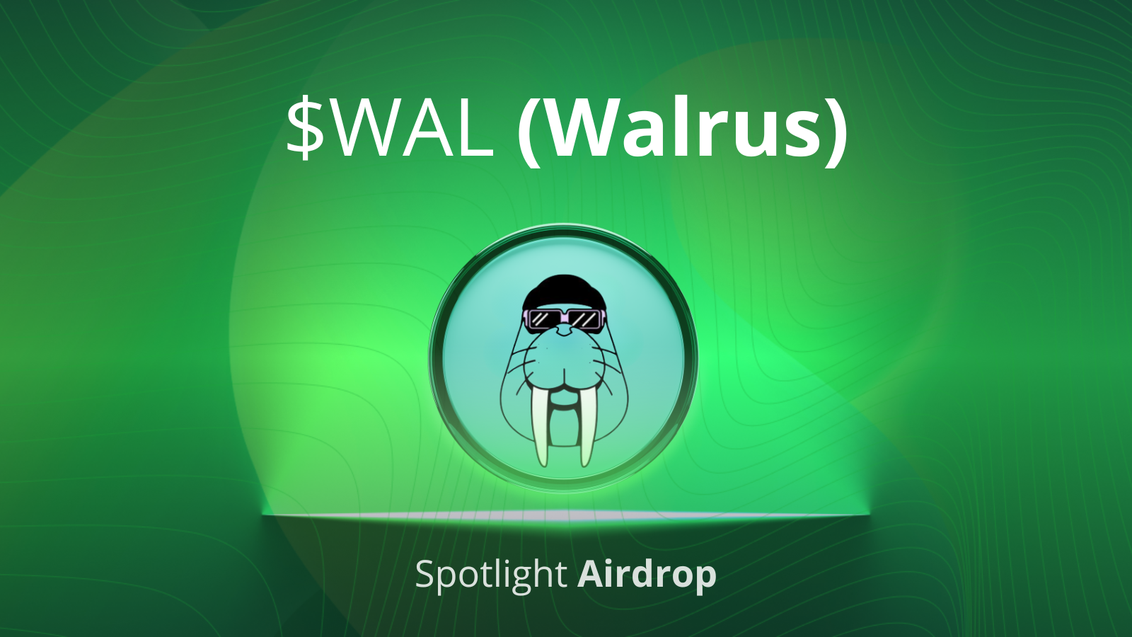 WALRUS Airdrop – Part of Our 7-Year Anniversary Celebration!