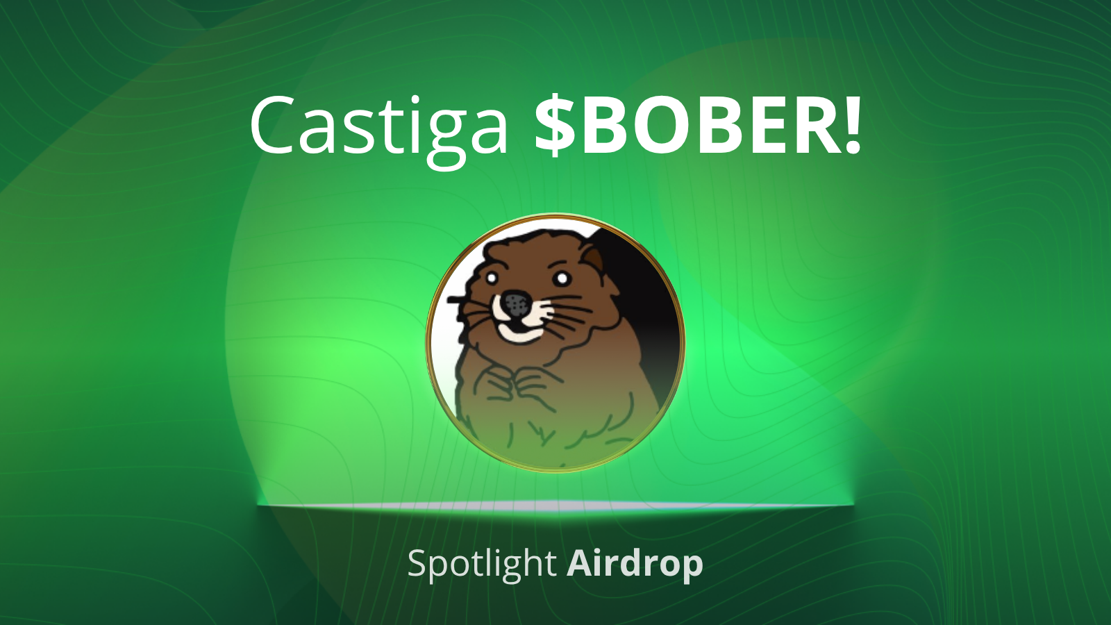 Castiga BOBER pe Tradesilvania Spotlight!