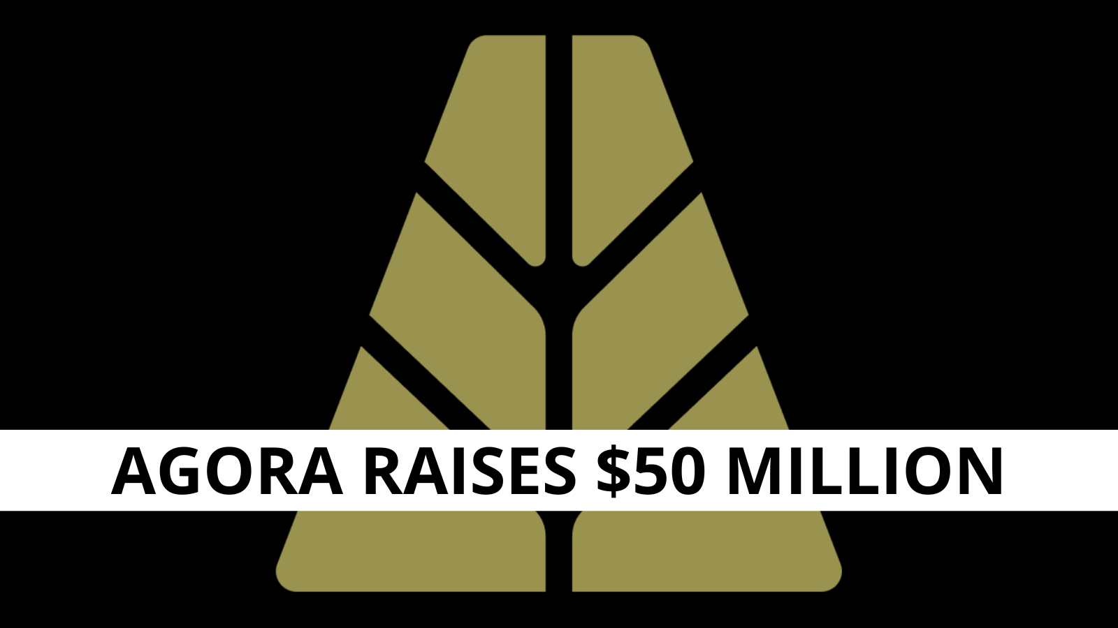 Agora Raises $50 Million to Expand White-Label Stablecoin Infrastructure