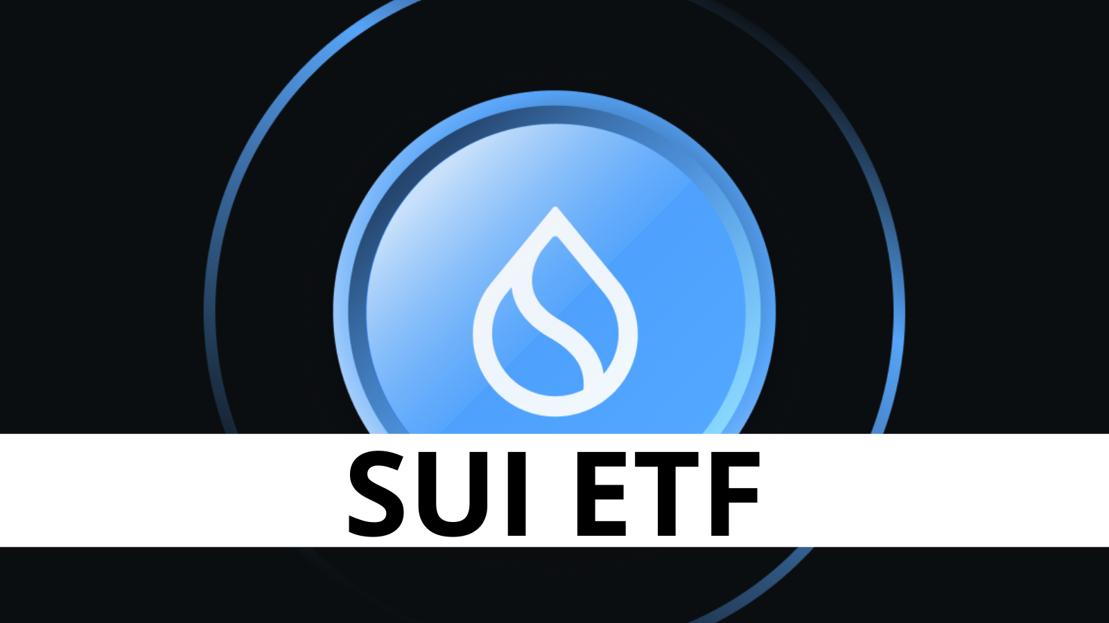 Canary Capital depune cerere pentru ETF SUI la SEC