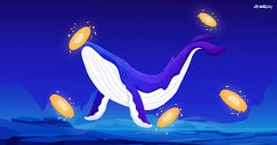 Doua portofele Bitcoin vechi din 2011 muta 20.000 BTC in 2025