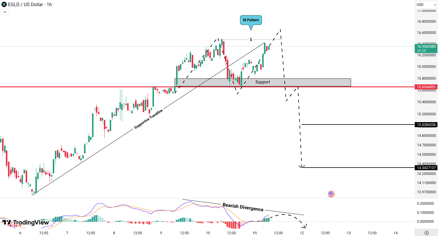 MultiversX (EGLD) Analysis