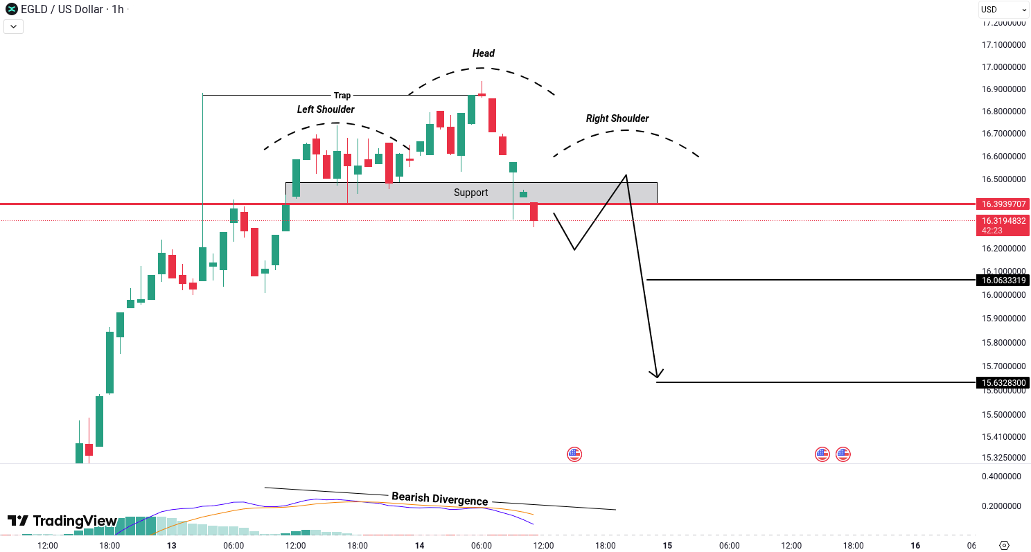 MultiversX (EGLD) Analysis