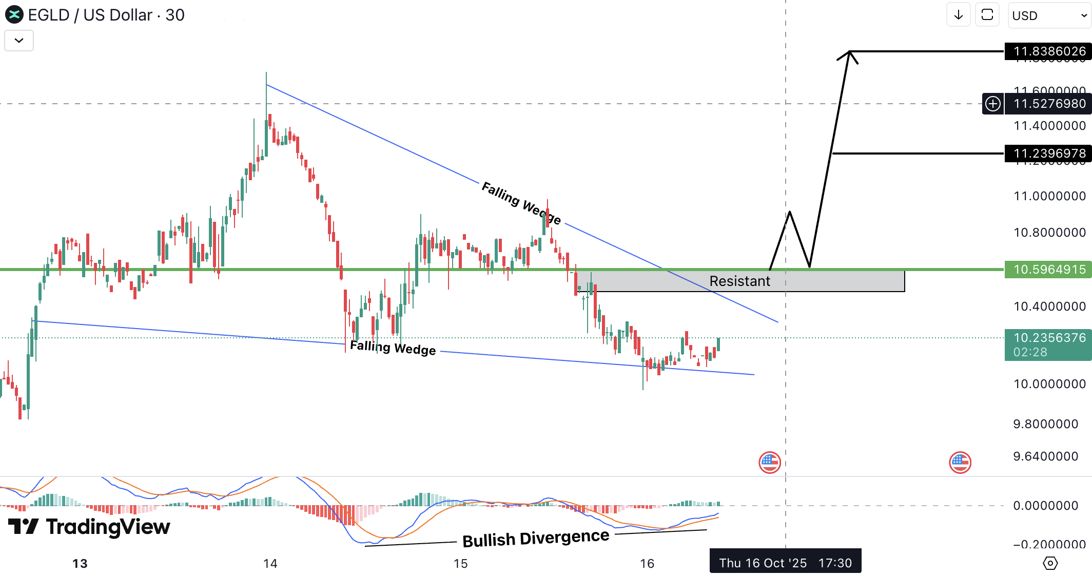 MultiversX (EGLD) Analysis