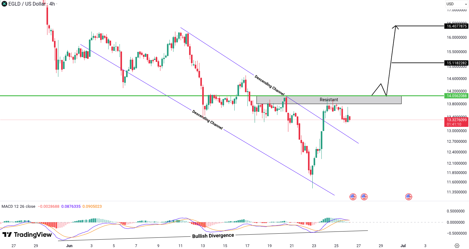 MultiversX (EGLD) analysis