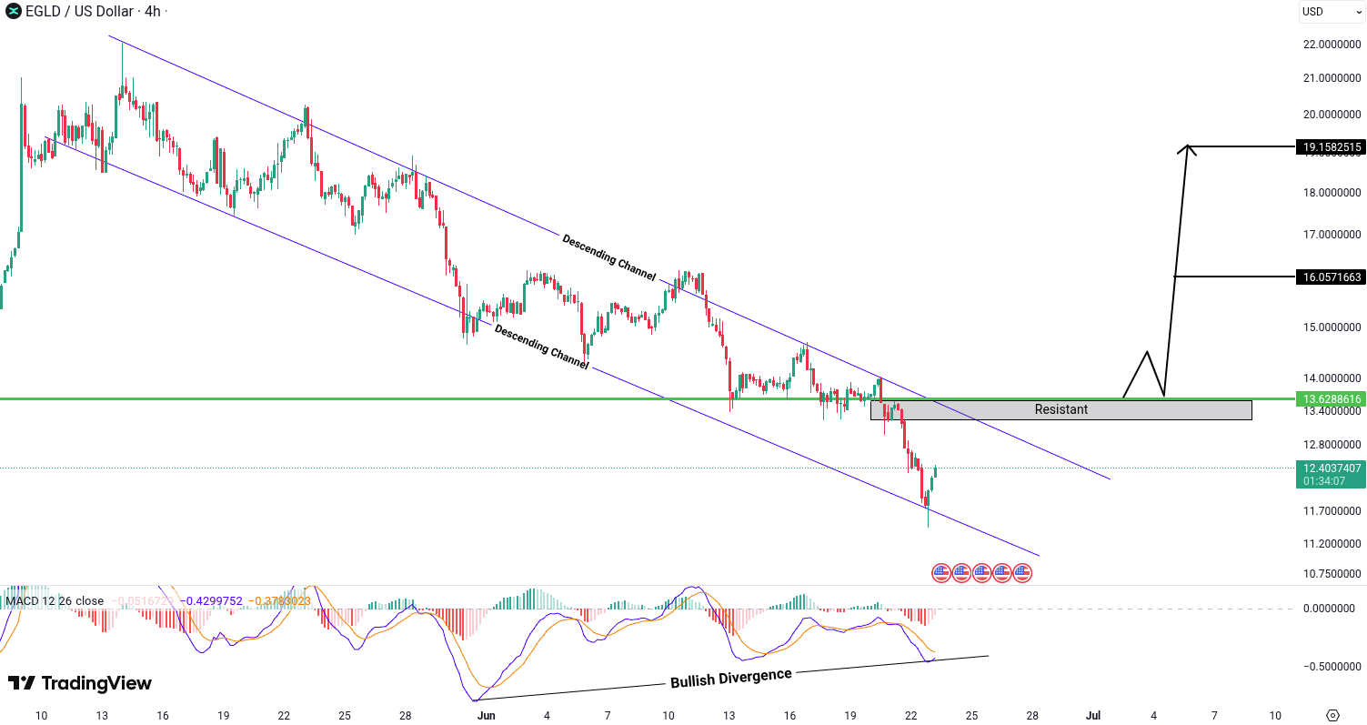 MultiversX (EGLD) analysis